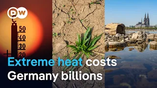 How 25 days of extreme heat disrupted Germany's economy | DW News