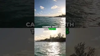 Sailing Little Harbor: Tides, Snorkeling & Secret Spots #shorts