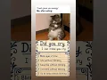 Download Lagu #nirvana #grunge #music #cat #daliymemes #funnypictures #funny #memeclip #funnymemes #memesdaily