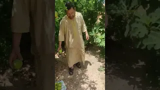 باكور الرشيدية مرحبا الجنوب الشرقي الرشيديه المغرب مكناس 