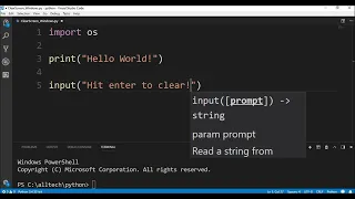 clear screen in python