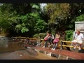 Bulan Bintang - Diubud Bali