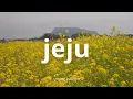 Download Lagu 🇰🇷5 days in JEJU 🌸 cherry blossoms, canola, cafés, driving | Spring in South Korea pt. 1