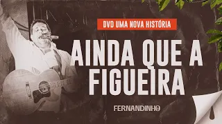 fernandinho ainda que a figueira dvd uma nova hist ria 