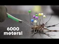 Download Lagu Ik heb 1000 spinnen gemolken om gitaarsnaren te maken!!