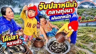 พอมาถึงบ้าน ก็จะประม่านนี้ ปลากลางทุ่งนา13 ตุลาคม ค.ศ. 2026