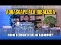 Download Lagu AQUASCAPE ALA IQBALIZDA! POHON BERINGIN DI DALAM AQUARIUM!?