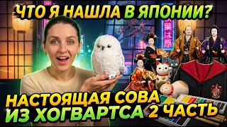 ЧТО Я НАШЛА В ЯПОНИИ? | КУКЛА-СОВА ИЗ ХОГВАРТСА