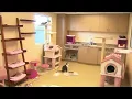 Some cats removed from Florida Humane Society after flooding