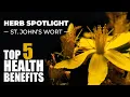 Top 5 Benefits of St John s Wort - Herb Spotlight