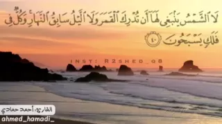 سورة يس بصوت القارئ أحمد حمادي صوت يأخذك بعيدا 