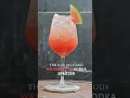 Lagu Watermelon Vodka Spritzer 🍉 #bar #cocktail #cocktailbar #recipe #cocktails #drink #cocktaillounge