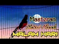 Download Lagu PANCINGAN MURAI BATU MALAM HARI GACOR FULL ISIAN PANJANG, SEKALI DENGAR MURAI APAPUN LANGSUNG EMOSI