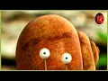 A Snail s Dream Minuscule 80 Compilation
