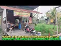 Download Lagu Begini suasana kampung jawa ditransmigrasi kalimantan utara desa selimau 03