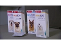 Dog owners blame popular flea medicine for pets s deaths
