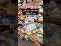 MINISO Soft Toys Under 599 Cuteness Overload