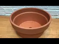 Planters Haul - Ocean State Job Lot & TJ Maxx