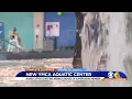 Henrico County Richmond YMCA debut new Aquatic Center