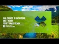 Meet Again (Ferry Tayle Remix) - Ferry Tayle, Ana Criado & Raz Nitzan