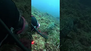 video_image