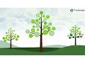 Tree Diagram - Prezi Template