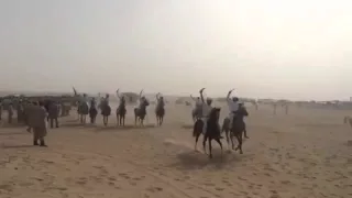 فزعة قبايل يام للدولة السعودية 