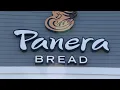 Panera to open new headquarters in Weston in 2027