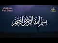 Relaxing Quran Recitation For Deep Sleep And Your All Problems Solve | Relaxing - Holy Quran