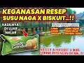 Download Lagu GANASNYA RACIKAN UMPAN SUSU NAGA BISKUIT GANDUM !! STRIKE HITUNGAN DETIK 100% NO CUT \u0026 EDIT ❗❗