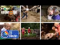 Download Lagu Koeien, lammetjes, varkens, kippen, kalfjes en paarden | 15 minuten | Kindertijd KRO-NCRV