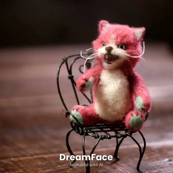 GILL THE CAT : APT.