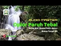 Download Lagu MASTERAN BURUNG OPIOR PARUH TEBAL GACOR DOOR + DURASI FULL 1JAM ++ BONUS TERAPI AIR,,
