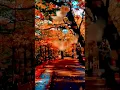 Download Lagu Autumn Leaves (Remastered)Nat King Cole