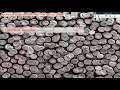 ECE6258 Fall2017 Red Blood Cell Segmentation using Ant Colony Optimization