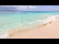 Blue Therapy: 3 Hours of Ocean Ambience on a Tropical Island (4K Video)