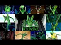 Download Lagu All wildvine transformations in all Ben 10 series