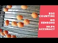 Egg Counting with IP Camera on Conveyor Belt AI Vision No Sensors