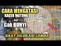CARA MENGATASI KACER MATUNG DAN GAK BUNYI SAAT DILOKASI LOMBA