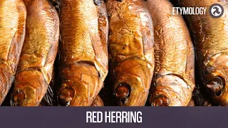 The Origin of the Phrase - Red Herring