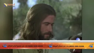 509 ترنيمة يا صاحب القلب الذي اثر القلوب بحبه 