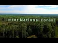Sumter National Forest by FPV