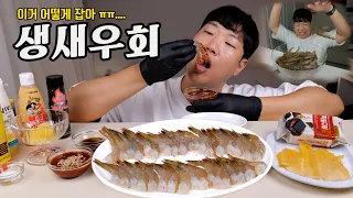 갓잡은 1kg 생새우 오독오독 레전드 리얼사운드 먹방