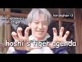 Download Lagu hoshi's endless tiger agenda