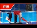 Download Lagu You had one job (Asian Games 2018)