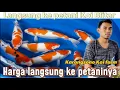 Download Lagu Ke petaninya Koi langsung di blitar‼️review harga ke Karangsono Koi blitar