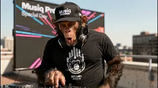 musiq rimond ai special day musiq promos 