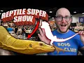 What Happened at The Reptile Super Show