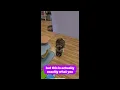 Why Do Cats Scream During Mating Raw Footage
