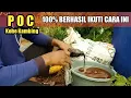 Lagu Cara Membuat POC Kohe Kambing Agar Cepat di Gunakan @NDEMULChannel